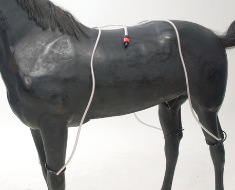 WAHLSTEN WATER TUBES FOR HORSES